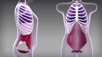 A video about techniques to minimize parastomal hernia risk by managing intra-abdominal pressure.
